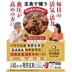 3日寝かせ発芽玄米ごはん+GABA(ギャバ)の商品画像
