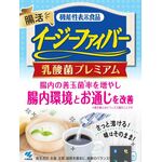 イージーファイバー乳酸菌プレミアムの商品画像