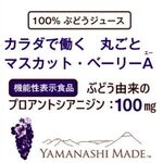 カラダで働く 丸ごと マスカット・ベーリーA(エー)の商品画像