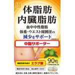 楽美健快　中脂サポーターの商品画像