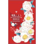 雪肌こまちの商品画像