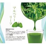 マルベリーリーフの商品画像