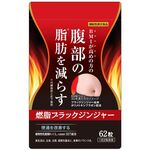 燃脂ブラックジンジャーの商品画像