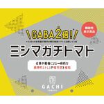 ガチトマトの商品画像