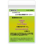 ＳＡＮＫＹＯ（サンキョウ）エラグ酸＆周囲径マネージャーの商品画像
