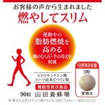 燃やしてスリムの商品画像