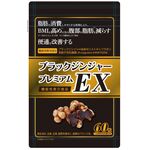 ブラックジンジャープレミアムEX(イーエックス)の商品画像