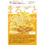 まるごとタモギタケの商品画像