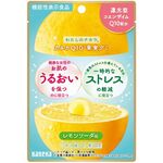 カネカＱ１０果実グミ（レモンソーダ味）の商品画像