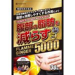 FLAMME GINGER(フラムジンジャー)5000の商品画像