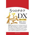 5つのチカラ極DX(ディーエックス)の商品画像