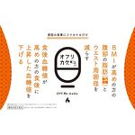 オフリカケ（Ｏｆｆ　Ｒｅ：　ｋａｋｅ）Ⅱの商品画像