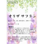 オリザ　サフランａの商品画像