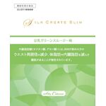 シルククリエイトスリム　豆乳グリーンスムージー味の商品画像
