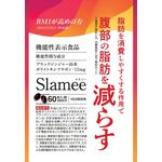 Ｓｌａｍｅｅ　ｖ２（スラミー　ブイツー）の商品画像