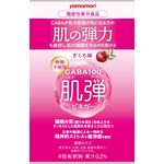 ＧＡＢＡ１００　肌弾２００９の商品画像
