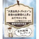 国産大麦グラノーラ　信州産林檎＆（アンド）シナモンの商品画像