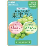 カネカＱ１０果実グミ（シャインマスカット味）の商品画像
